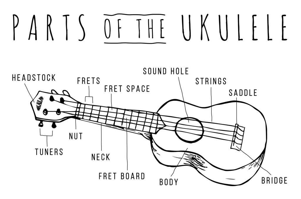 How To Build A Ukulele